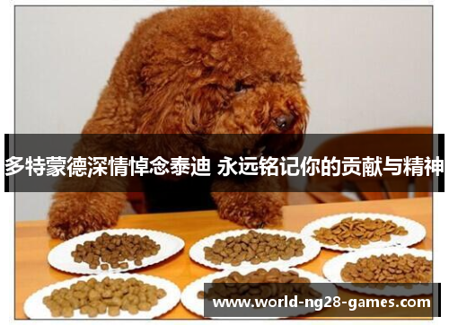 /uploads/images/20250718/duo-te-meng-de-shen-qing-dao-nian-tai-di-yong-yuan-ming-ji-ni-de-gong-xian-yu-jing-shen.webp