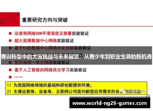 青训转型中的大宝挑战与未来展望：从青少年到职业生涯的新机遇